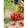 TOMATE CERISE GRAPPE