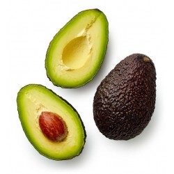 AVOCAT