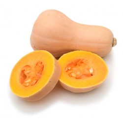 COURGE BUTTERNUT