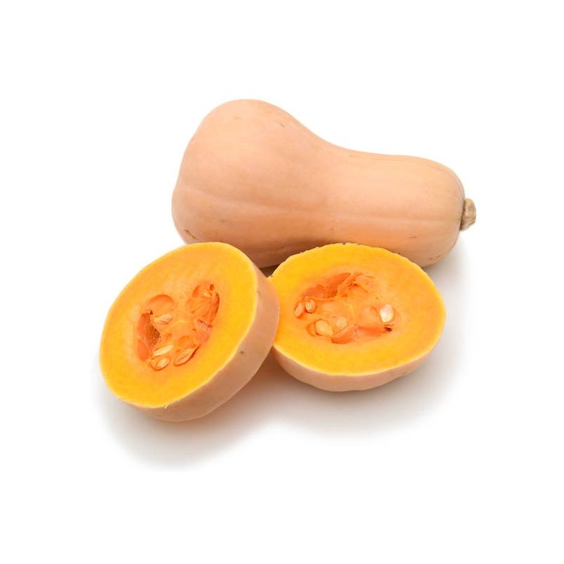 COURGE BUTTERNUT