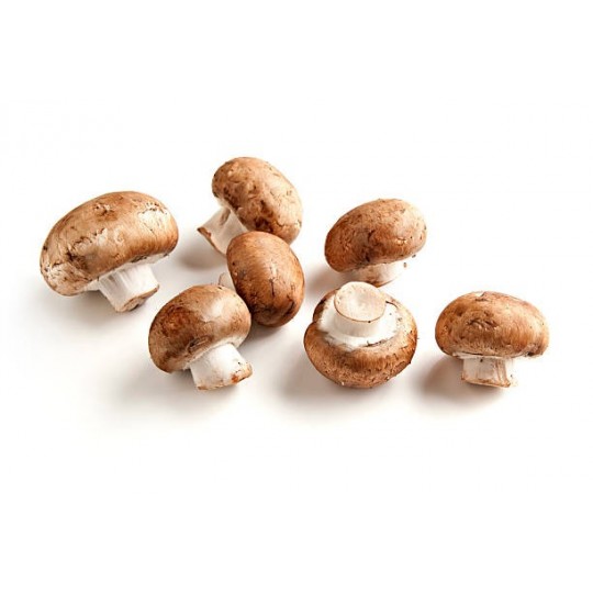 CHAMPIGNON DE PARIS