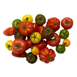 TOMATE ANCIENNE COEUR DE BOEUF MARMANDE NOIR DE CRIMÉE