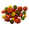 TOMATE ANCIENNE COEUR DE BOEUF MARMANDE NOIR DE CRIMÉE
