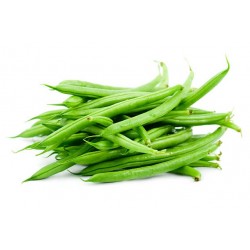 HARICOTS VERTS