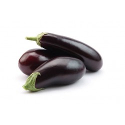 Aubergine