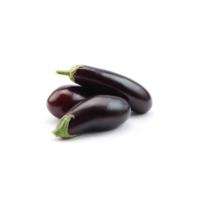 Aubergine