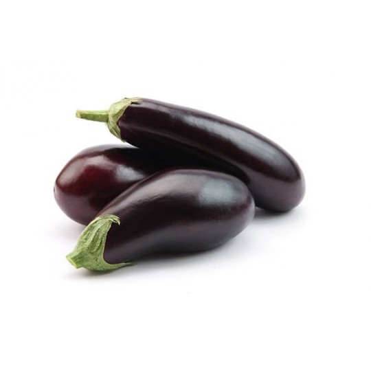 Aubergine
