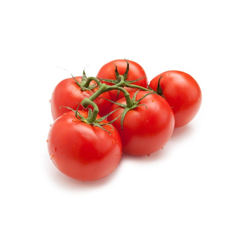 TOMATE RONDE