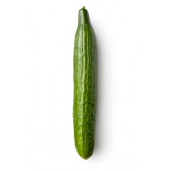 CONCOMBRE LONG