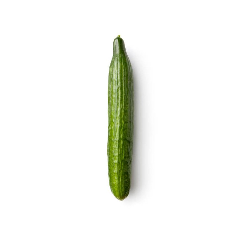CONCOMBRE LONG