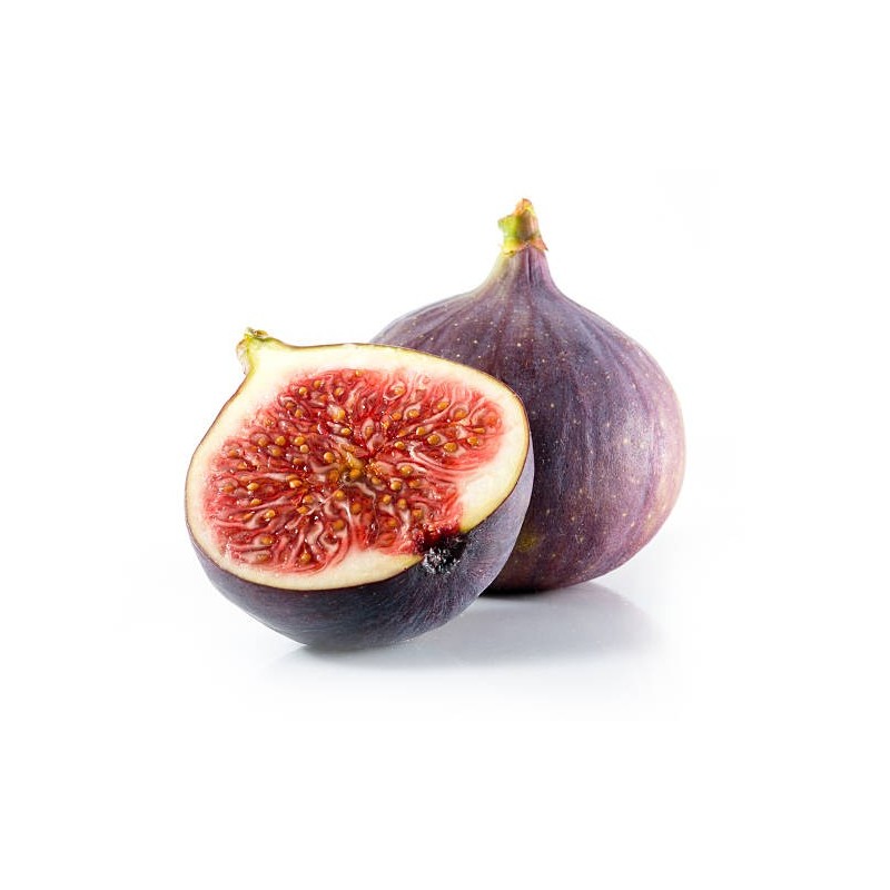 FIGUE NOIRE DE SOLIÈS AOP