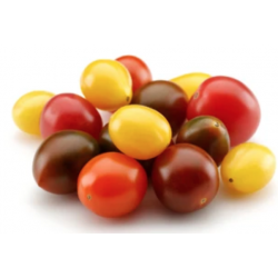 TOMATE CERISE GRAPPE