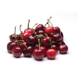 CERISE