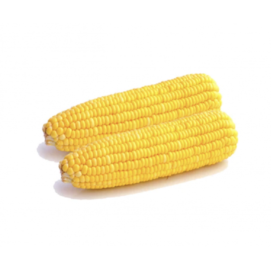 MAÏS PRÉ-CUIT - 400G