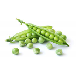 PETIT POIS - 500G
