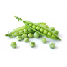 PETIT POIS - 500G
