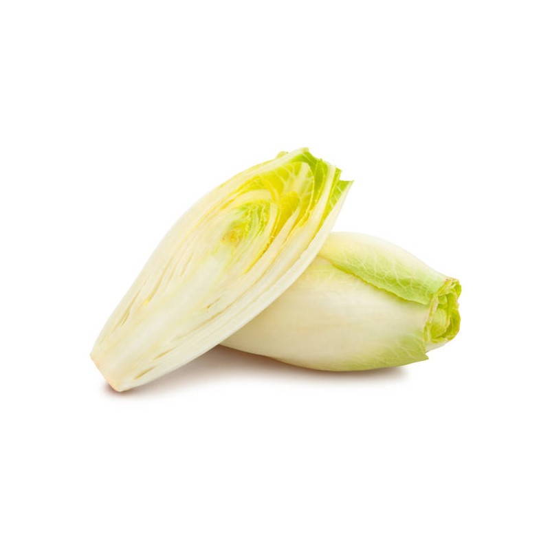 ENDIVE - 500g