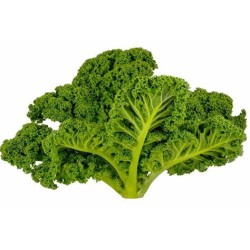 CHOU KALE - 500g