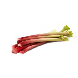 RHUBARBE - 500g