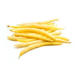 HARICOT BEURRE - 500g