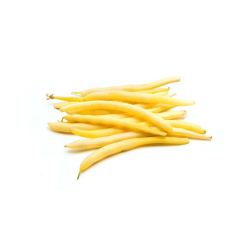 HARICOT BEURRE - 500g