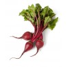BETTERAVE ROUGE BETTERAVE ROUGE