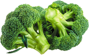 BROCOLI - Pièce