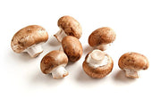 CHAMPIGNON DE PARIS - 250g