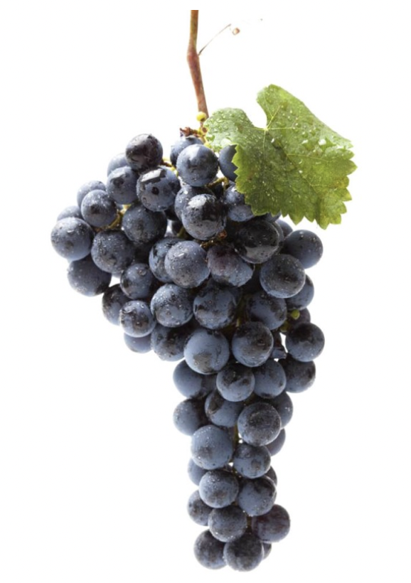 RAISIN NOIR - 500g