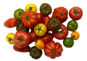 TOMATE ANCIENNE - 500G