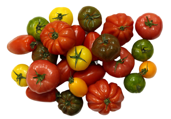 TOMATE ANCIENNE - 500G