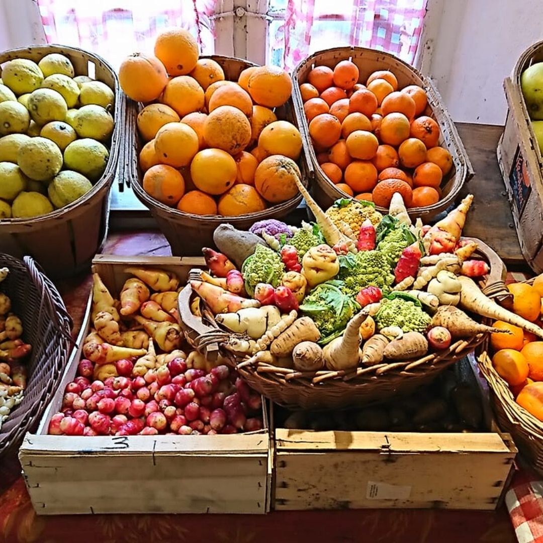 Ferme Obrecht