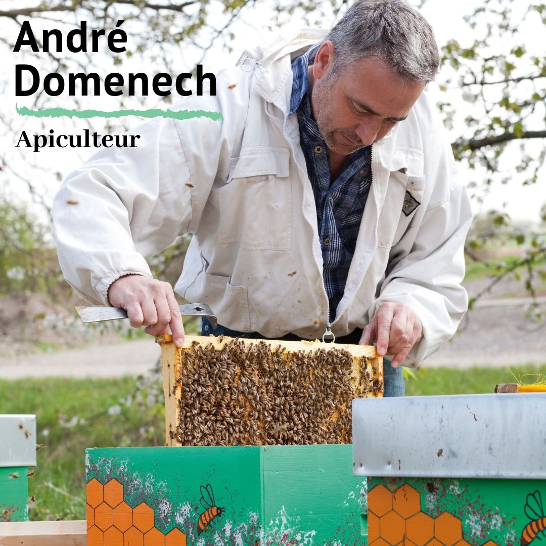 Moisson d'Abeille