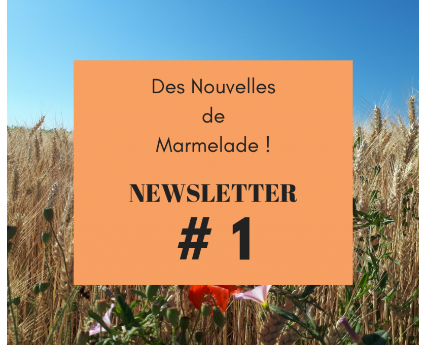 Des Nouvelles de Marmelade ! Newsletter #1